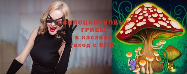винт Абинск