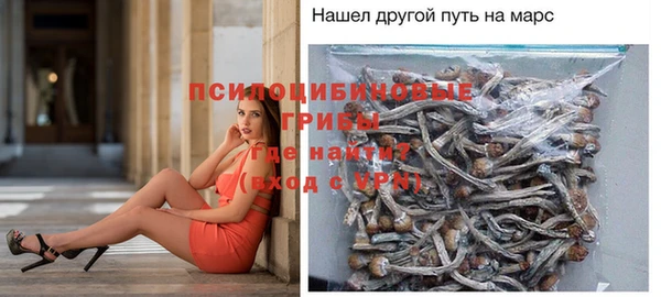 прущие крисы Абдулино